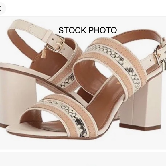 Coach Princeton Block-heel Matte Calf / Snake Sandals In Chalk, 9M w/BOX! EUC! - Picture 1 of 9